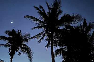 Image de Florida Beach House Right On The Ocean - Spring and Summer discounts now!