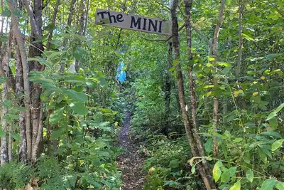 Image de Mini solar cabin in the woods off grid glamping at its finest near Mara lake bc