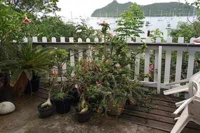 Image de The Boat House Studio Tyrell Bay
