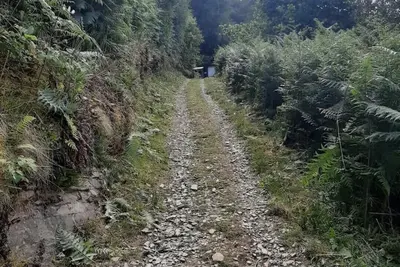 Image de Cabin Yn Y Coed at Tanyrallt