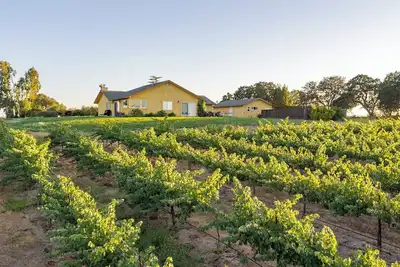 Image de Wild Vines - Amazing Vineyard Views