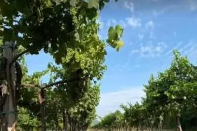 Image de Villa Mattei, Apartments in the heart of Franciacorta