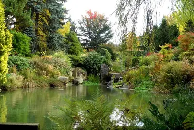 Image de Discover Seattle's Best-Kept Secrets! 2 Comfortable Units, Pet-Friendly Stay!