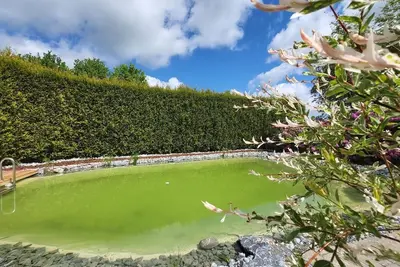 Image de Unwind at the swimming pond