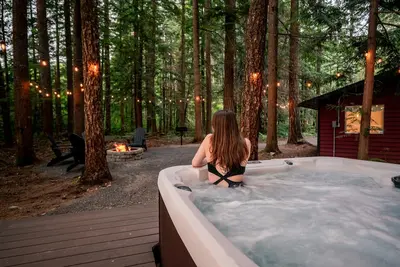 Image de Modern Mt. Baker Cabin With New Private Hot Tub