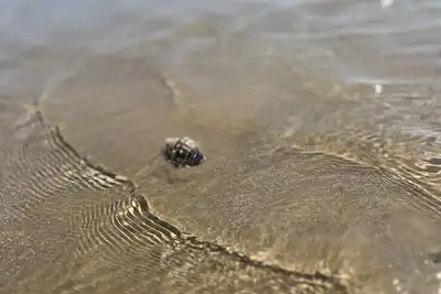 Image de Family friendly beach access