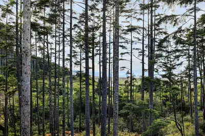 Image de Seabrook's Seaclusion: Oceanview, Hot Tub, Dog Friendly!