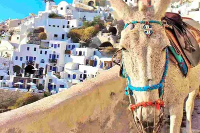 Image de Spacious Santorini Villa | 2 Bedrooms | Villa Filos | Private Jacuzzi & Close to Amenities | Fira