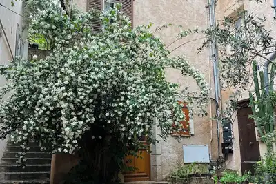 Image de Provencal stone house in the French Riviera
