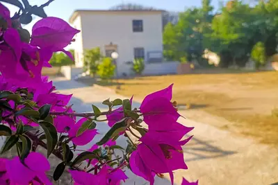 Image de Beautiful Villa with garden a few kilometers from Naples and Caserta