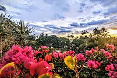 Image de Maui Kamaole i210 - Ocean View and Whales!