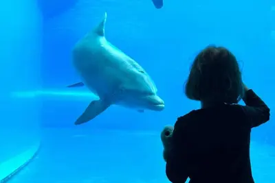 Image de Apartment Les étoiles de San Lorenzo nel cuore di Genova vicino all'Acquario