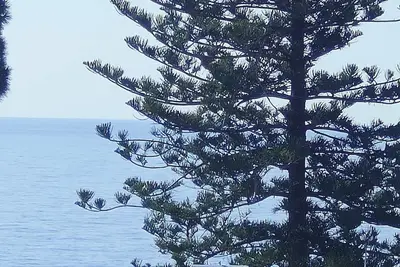 Image de Nest by the Sea