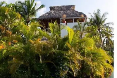 Image de 2nd floor 1 Bd 1Ba with Spectacular Roof Top Palapa & amazing sunset view