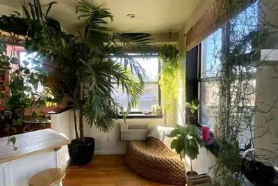 Image de High Frequency Penthouse