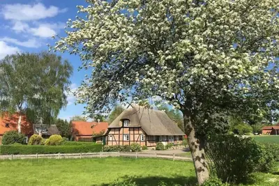 Image de Haus Ruhe unter Reet