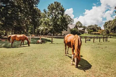 Image de Lake Ranch: Sauna, Gym, Pickleball & Farm Fun!
