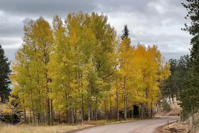 Image de Colorado Hikers Hideaway! Tiny Cabin and Vintage Camper in the Rockies