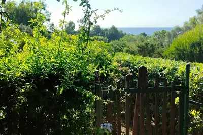 1 Bedroom Apartment in Stintino