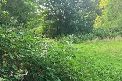 Image de Nature's Paradise Camp Spot!
