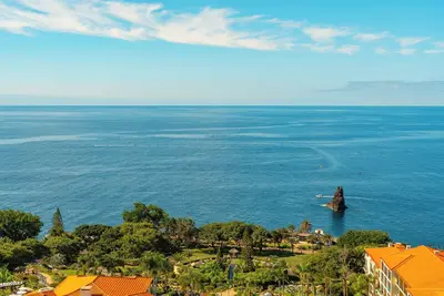 Image de Check Out Madeira Island's Charm! Sea View, Kitchenette, Spa, Swimming Pool!