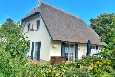 Image de Semi-detached house Svantevit 2