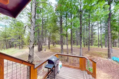 Image de Modern home with private grill, fireplace, & washer\/dryer - dog-friendly