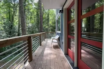 Image de Quiet Modern Cabin with Fire Pit, 15min to Avl, Pet-Friendly
