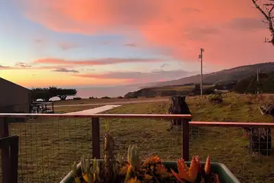 Image de Pet Friendly, Irish Beach Getaway.