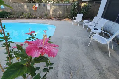 Image de Family Getaway - spacious & near Busch Gardens/Usf with Private 1bedroom suite