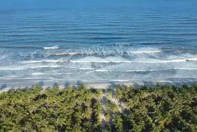 Image de Casa em Ilha ParadisĂaca em Comandatuba