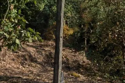 Image de Quinta de São Pedro 4