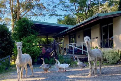 Image de Tranquil farmhouse with sea view, dog friendly