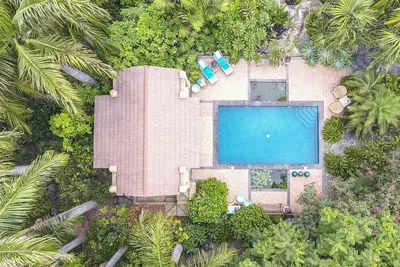Image de Amoureux du jardin tropical de 10 000 m2, vue directe sur la mer