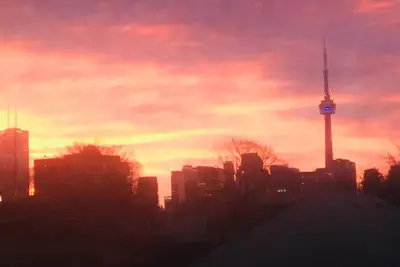 Image de Gorgeous house on quiet residential street in downtown Toronto!