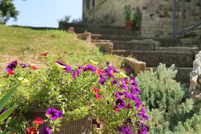 Image de Cozy Country Cottage