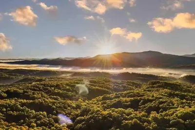 Image de A Walk in the Clouds!