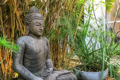 Image de Zen Garden Beach House Casuarina by uHoliday