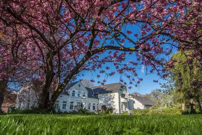 Image de Sonnenscheinwohnung - Ferienhof Baustrup