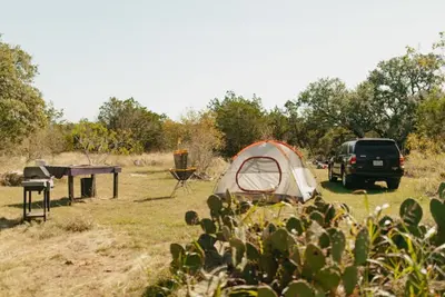 Image de Twisted Oaks