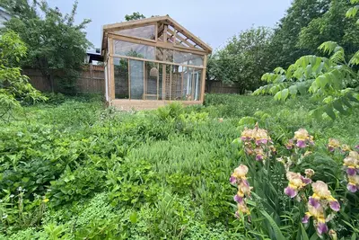 Image de Mid-Century oasis + greenhouse!