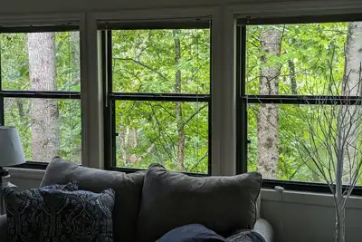 Treetop Retreat