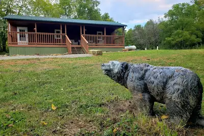 Image de The Bear Den Cabin with pond view.
