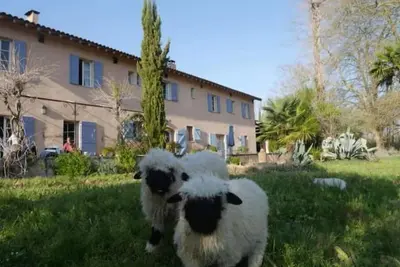 Image de Gite de Brassacou