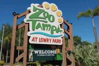 Image de New! Big Home near Ybor/Buschgardens
