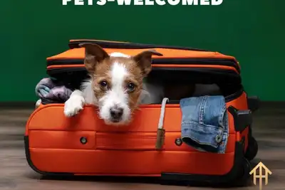 Image de Spacious Pet Friendly | Sleeps 6