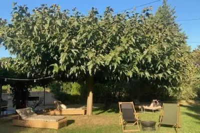 Image de Maison de charme en Provence, dans un cadre verdoyant, entre Alpilles et Lubéron