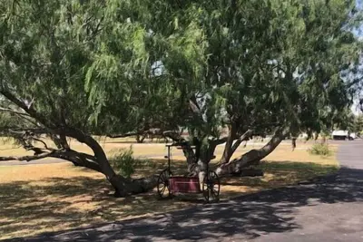 Image de The Hideaway at The Ranch