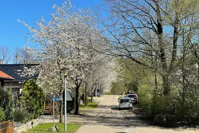 Image de Ferienhaus am MĂĽmmelbrook in Feldberg - Ferienwohnung