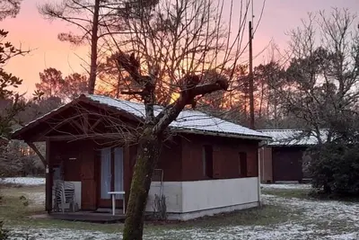 Image de 5- Chalet au calme en bordure du Ciron